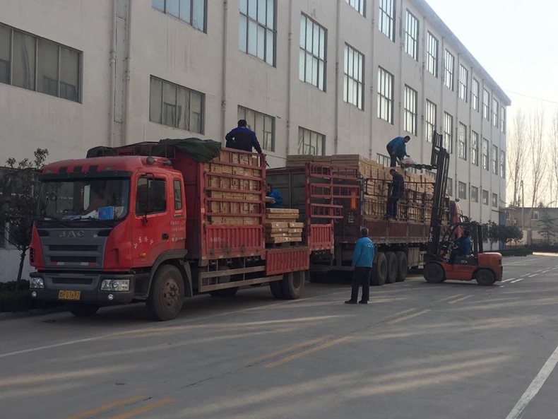 好色先生下载APP好色先生视频APP温暖出发